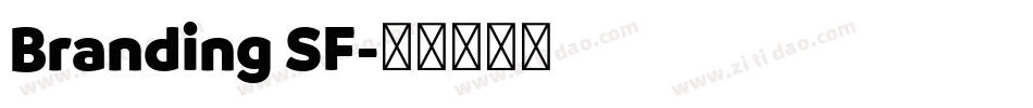 Branding SF字体转换